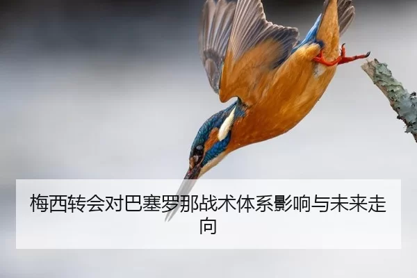 mei-xi-zhuan-hui-dui-ba-sai-luo-na-zhan-shu-ti-xi-ying-xiang-yu-wei-lai-zou-xiang-3-574.jpg